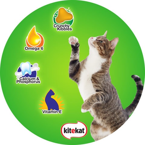 Kitekat Tuna Flavour Dry Cat Food 1.4kg