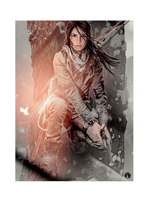 Video Game Tomb Raider Metal Plate Poster Multicolour 15x20centimeter