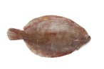 اشتري سمك صول - وسط في مصر