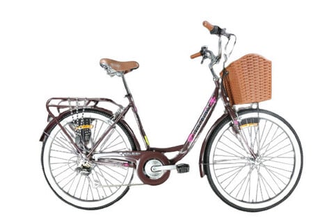 Raleigh Smile 26 Inch Wheel &amp; 17 Inch Frame Ladies Comfort Bike(Brown)