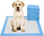 Buy NuSense Disposable Absorbent Quick Drying Leak-Proof Pee Pads for Potty Training for Pets - 50 Pieces in UAE