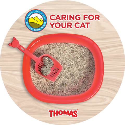 Thomas Non Clumping Cat Litter 16L