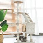 Buy GOLDEN ROSE Multi-Level Cat Tree, 125cm Height Activity Cat Tower Furniture for Large Small Cat beige (Beige 125cm) in UAE