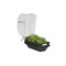 Vegepod Garden Bed 100x50cm (Plus Extra Supplier&#39;s Delivery Charge Outside Doha)