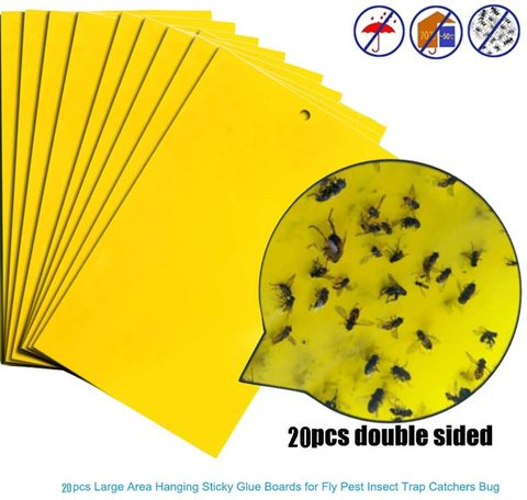 Doreen 20Pcs Strong Flies Traps Bugs Sticky Board Catching Aphid Insects Pest Killer (A)