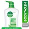 Dettol Soothe Anti-Bacterial Body Wash With Aloe Vera And Apple 500ml