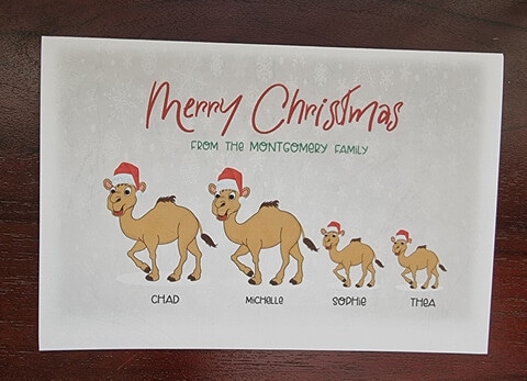 Packs of 10 Antler Camel family Christmas cards