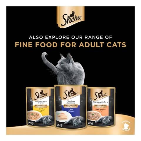 Sheba cat hotsell food for kittens