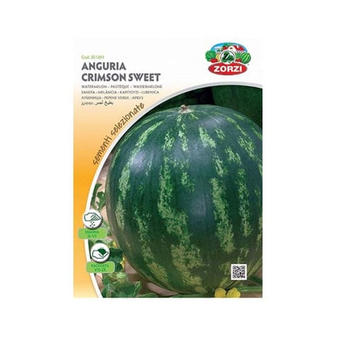 Zorzi Watermelon Seed 4 Gram