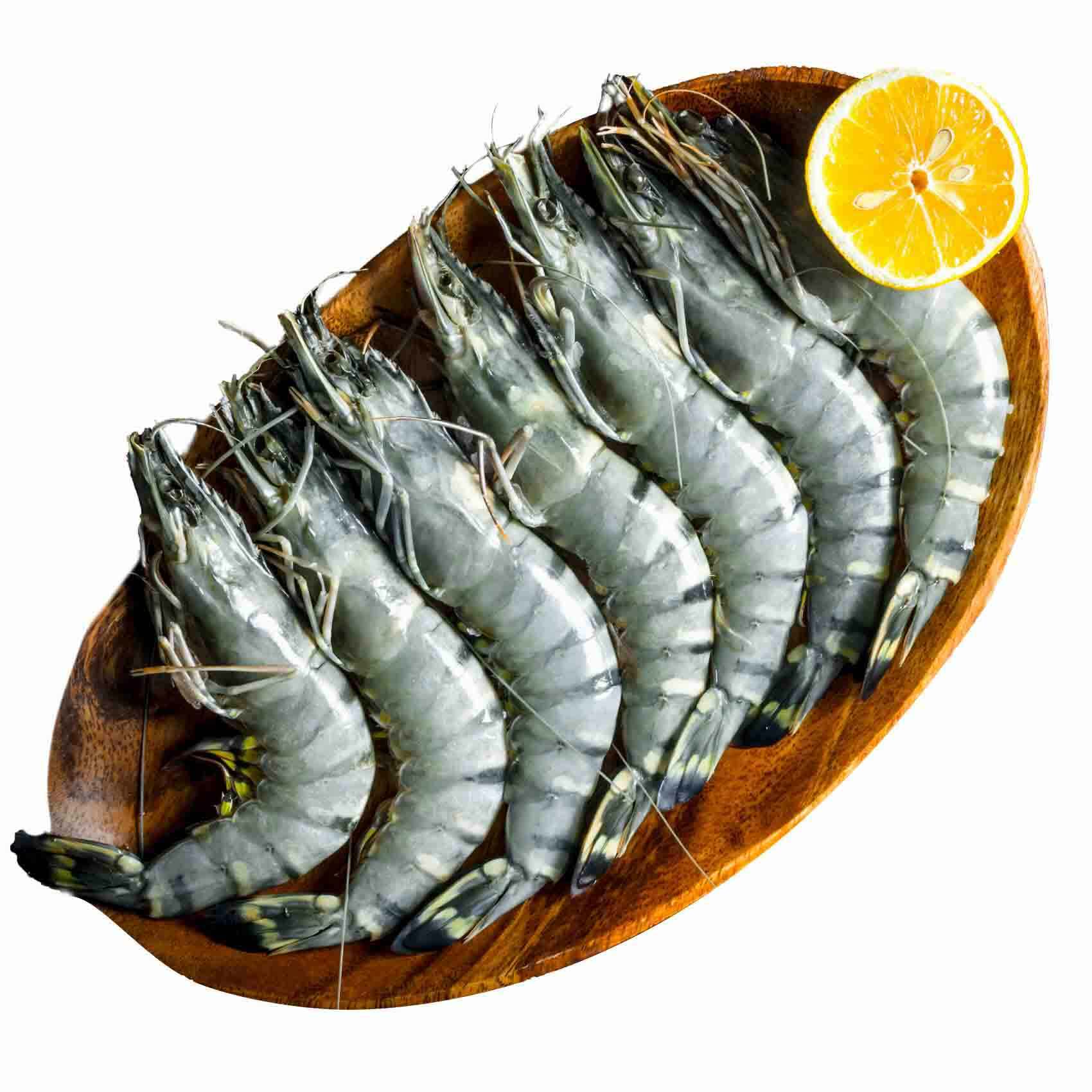 Buy Fresh Tiger Shrimps U15 Lowest Price Online Shop Fresh Food On Carrefour Uae