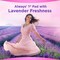 Always Skin Love Pads Lavender Freshness Thick &amp; Large 24 pads