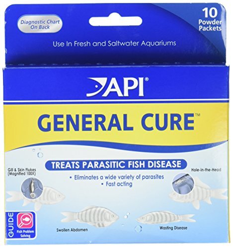 Buy API GENERAL CURE Freshwater and Saltwater Fish Powder Medication 10-Count Box in UAE