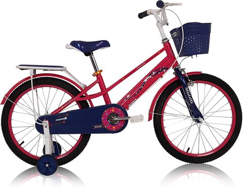 Training wheels deals road bike