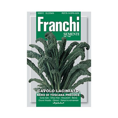 Franchi Cavolo Laciniato 35/7
