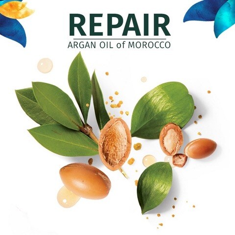 Herbal Essences Bio:Renew Argon Oil Of Morocco Shampoo 400ml