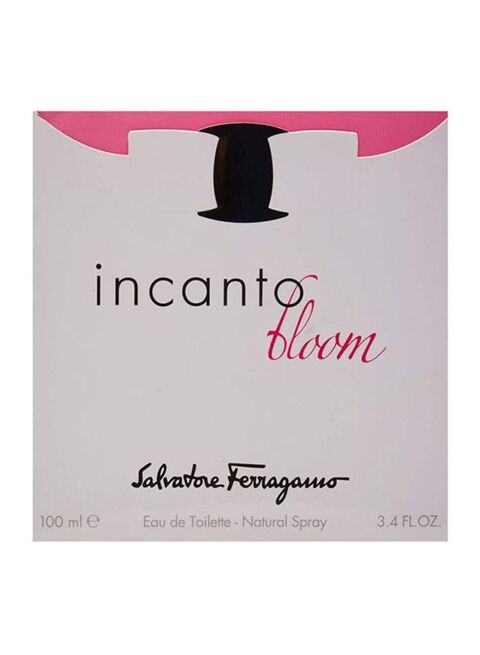 Incanto bloom cheap