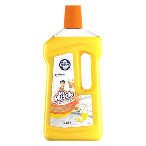 Buy Mr Muscle Multi-Purpose Floor Cleaner, Citrus, 1 Bottle, 1L in Saudi Arabia