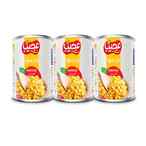 اشتري Ajeeb Whole Sweet Corn 200g Pack of 3 في الامارات