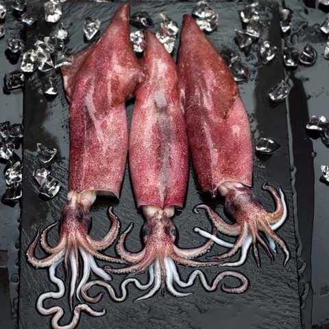 Small Red Squid price in Saudi Arabia | Carrefour Saudi Arabia