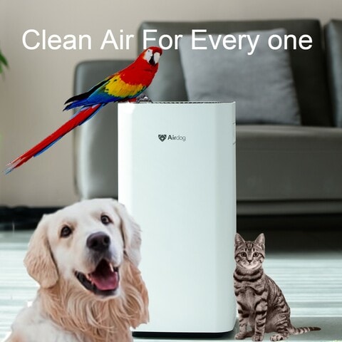 AIRDOG Air purifier, Necessary for Home with pets ... Endless wash-able FILTER ! clean Air without allergy for KIDS , pets , adaults