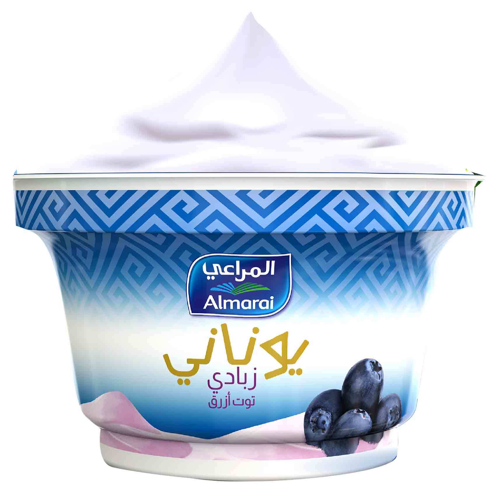 اختراق الشعيرات الدموية منتصف الليل  Buy Almarai Yoghurt Greek Blueberry 150 Gram Online - Shop Fresh Food on  Carrefour Jordan