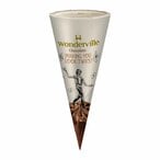 Buy Wonderville Chocolate Cone Ice Cream - 125 ml in Egypt