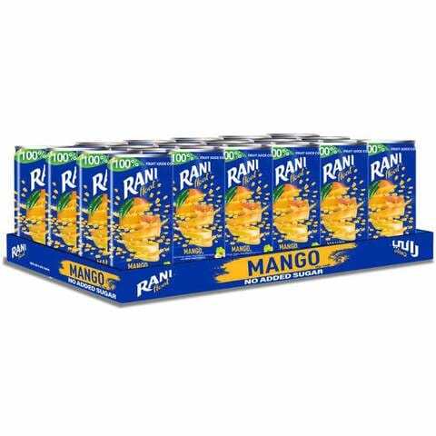 Rani Float Mango Juice 180ml Pack of 24