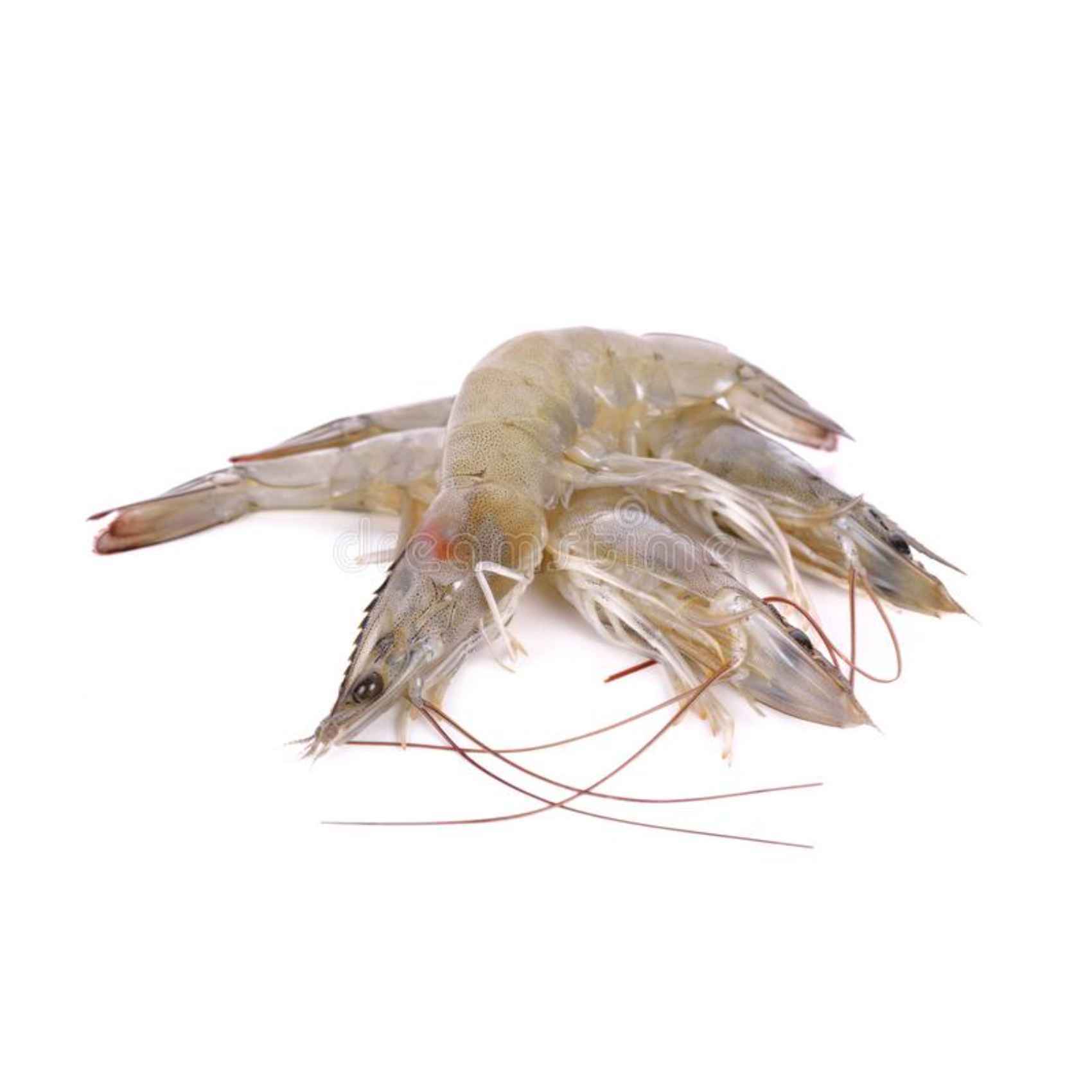 Buy Fresh Medium Shrimps Online Shop Fresh Food On Carrefour Uae