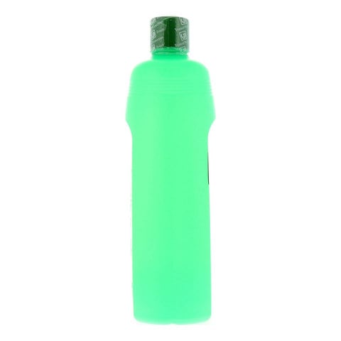 Green Cross Isopropyl Alcohol Anti-Septic Disinfectant Green 500ml