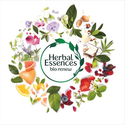 Herbal Essences Bio Renew Volume Arabica Coffee Fruit Conditioner 400ml
