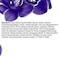 Lux Perfumed Liquid Handwash Magical Orchid Purple 500ml