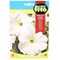 Fito Petunia &quot;Dwarf&quot; Compact (600 mg, White)