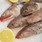 Macarona Fish Middle East