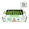 Cucumber Hydroponic Box 2.8 To 3kg