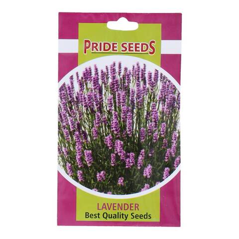 Pride Seeds Lavender
