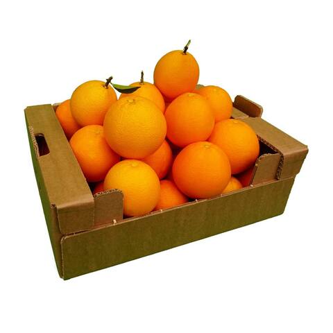 اشتري مافا برتقال للعصير - 6.5 كيلو في مصر
