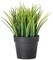 Generic Fejka Artificial Potted Plant, Grass